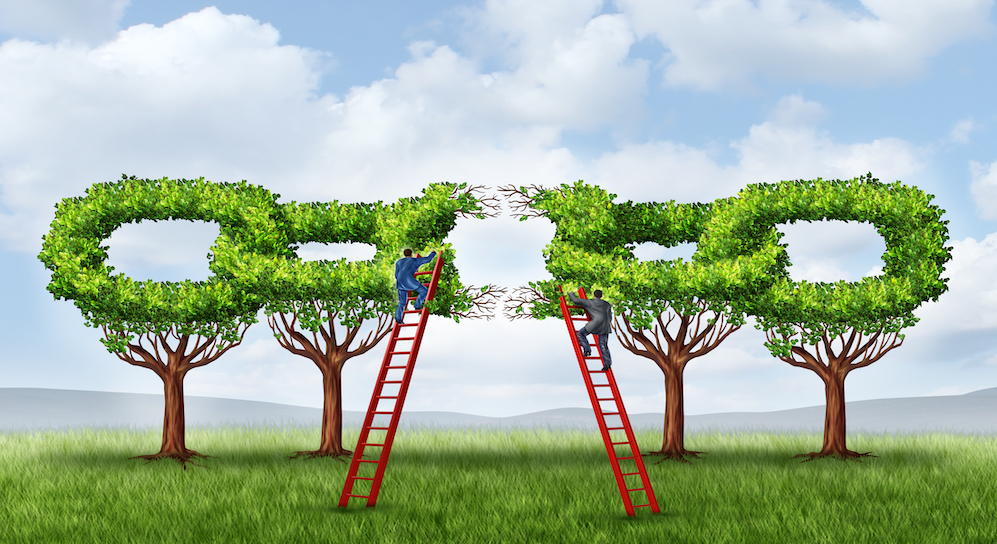 white hat link building